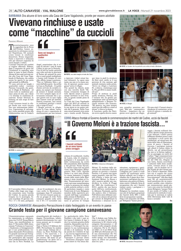 pag 28