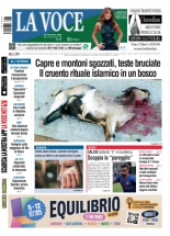settimo